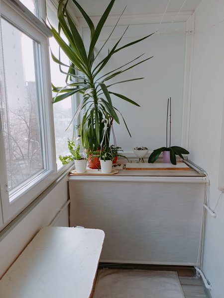 Turda, Basarab, Grivita,